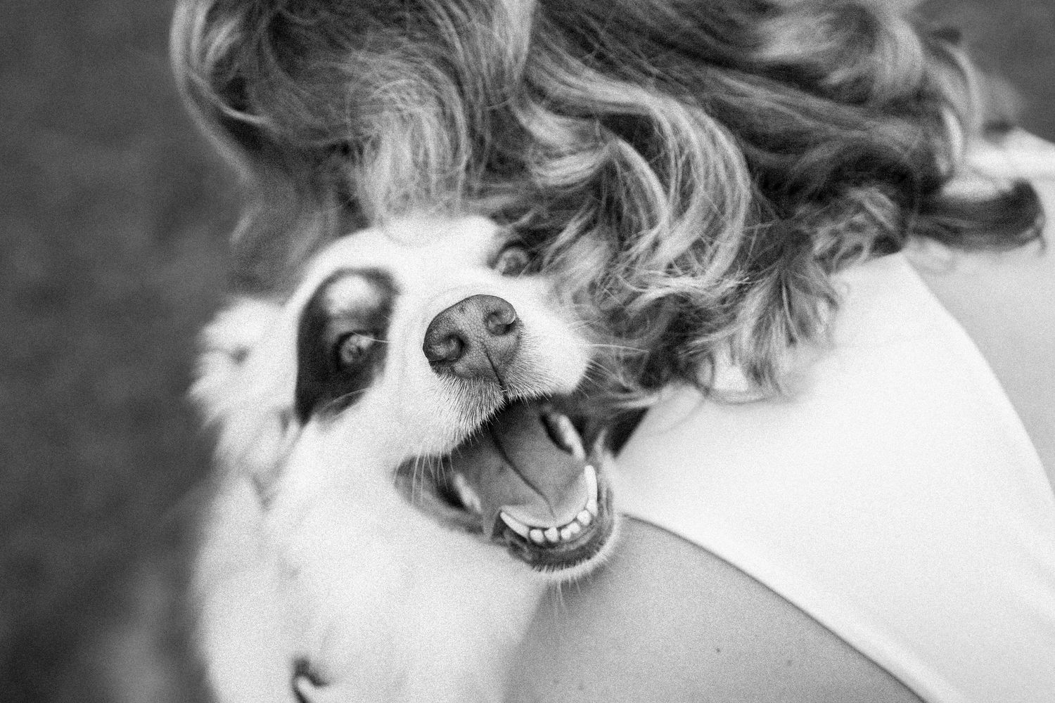 Black and white photo of a happy dog being hugged over a woman's shoulder, mouth open in a joyful expression.