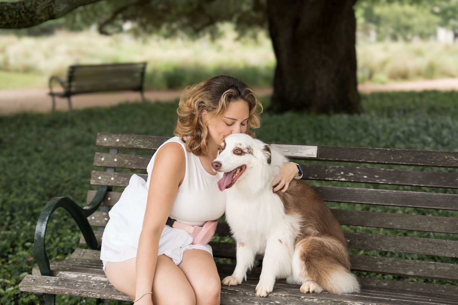 Woman in white dress sitting on park bench cuddling with her brown and white Border Collie dog.