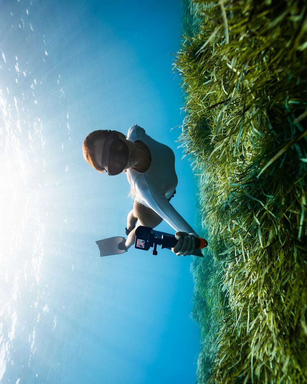 Underwater photographer in white wetsuit films vibrant green seagrass meadow with camera rig in crystal clear blue ocean.