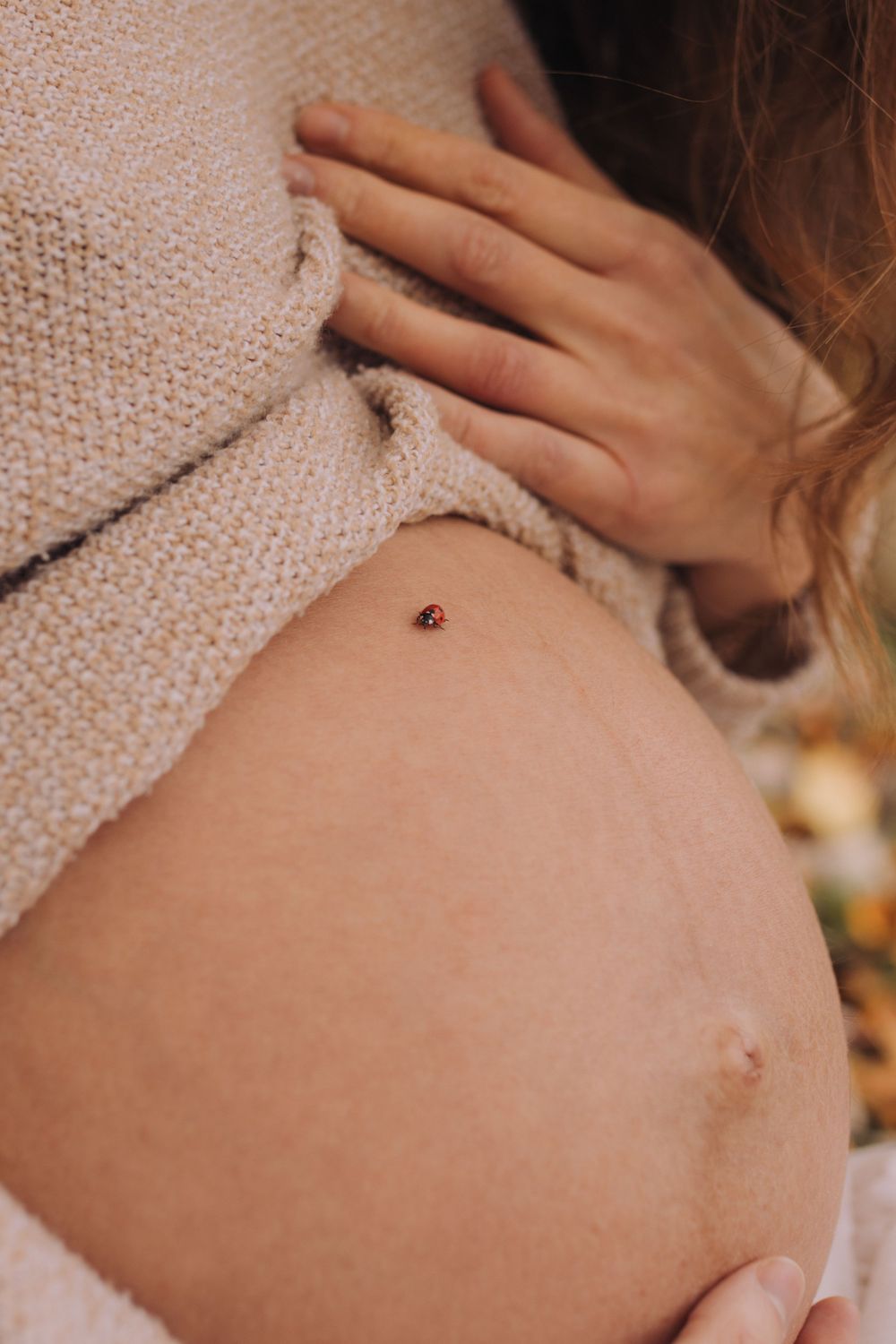 Close-up of a pregnant woman's bare belly with a ladybug resting on it, wearing a cozy beige knit sweater.
