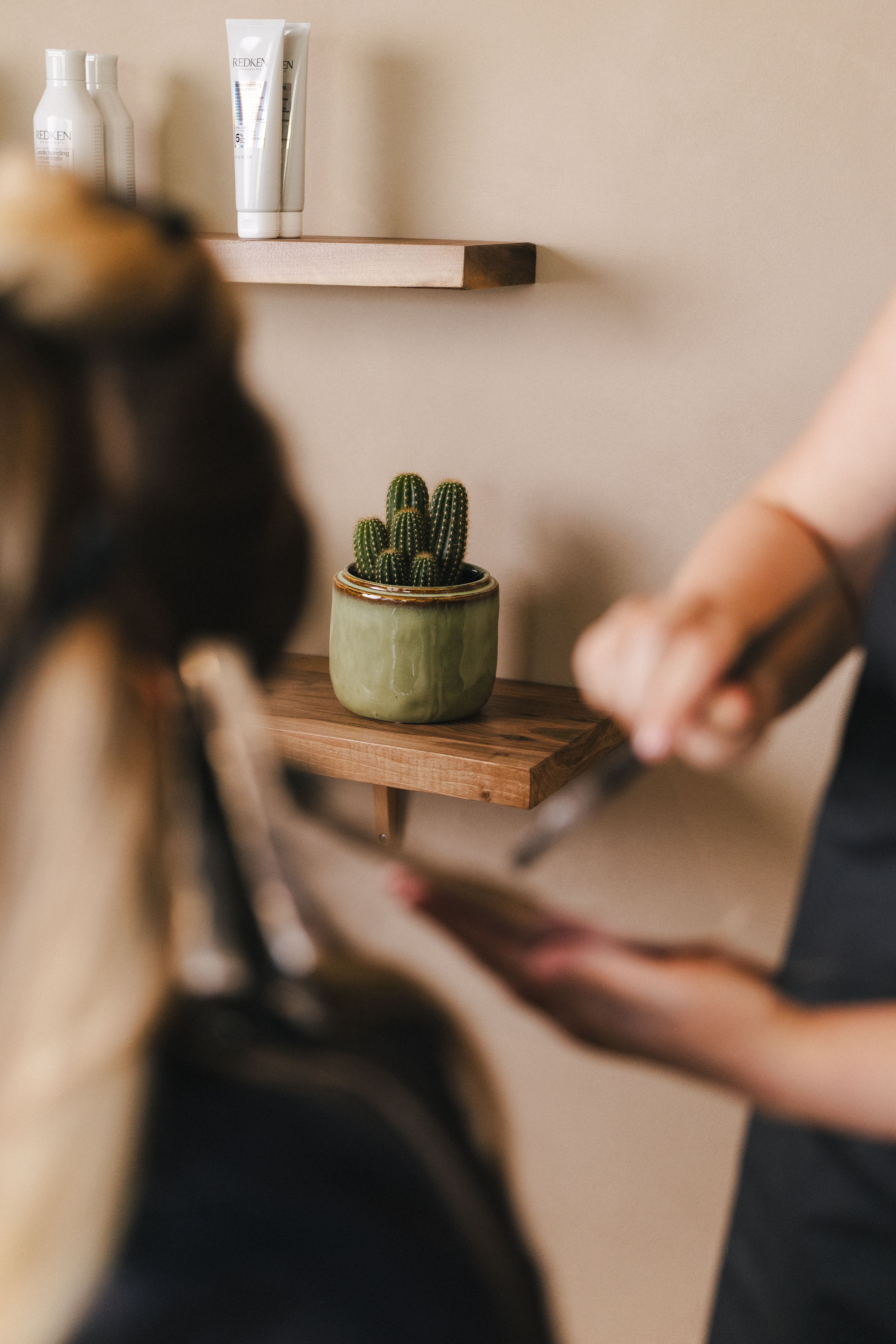Hair stylist holding scissors near a client in a modern salon with cactus decor and product shelves.