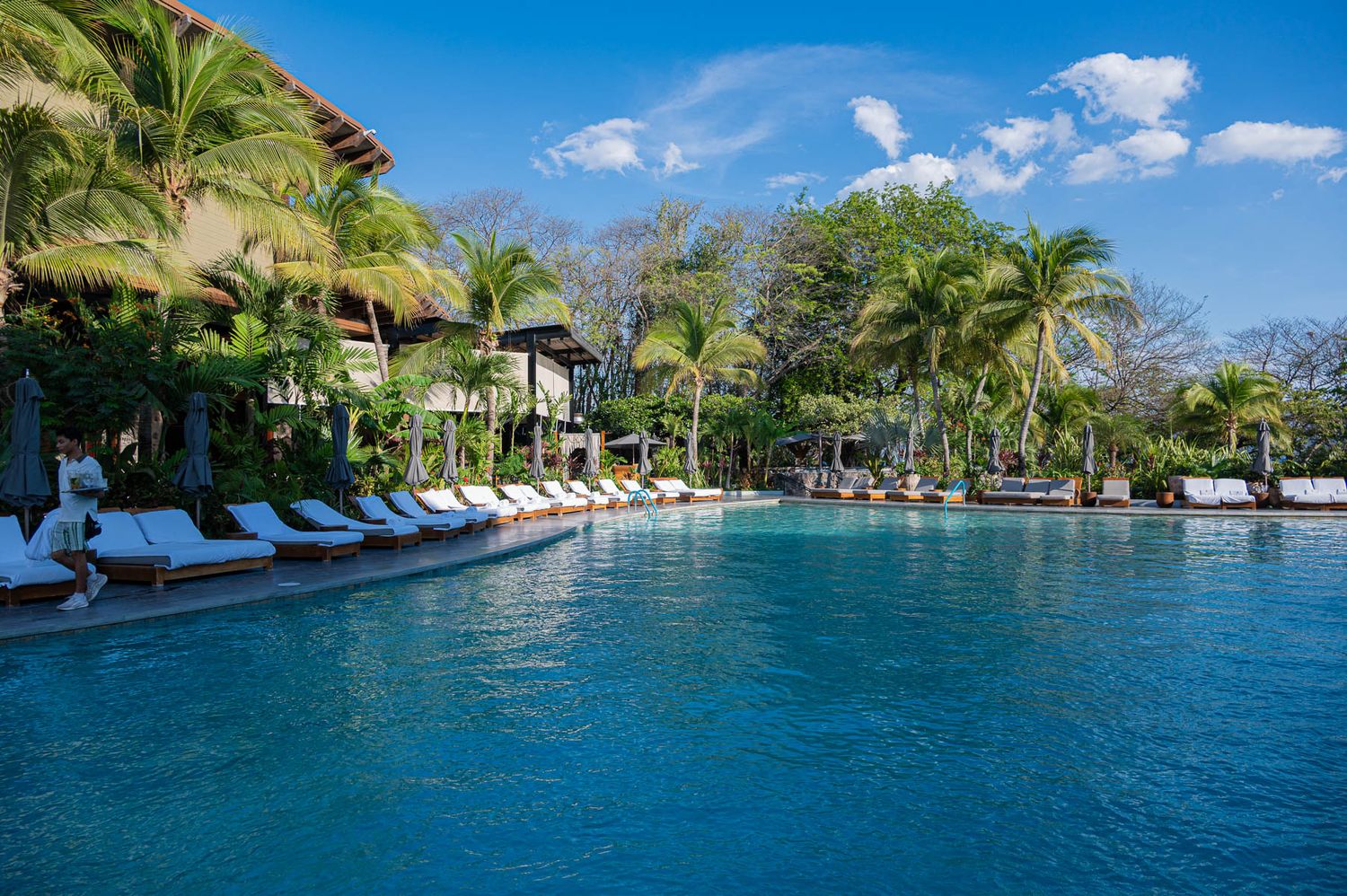 Luxury resort pool surrounded by palm trees and lounge chairs under a bright blue sky.