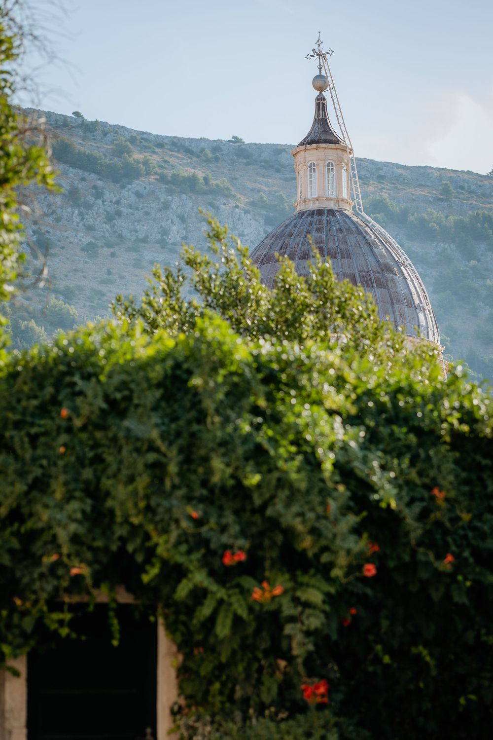 Dome of a historic church rising above lush green trees on a hillside.