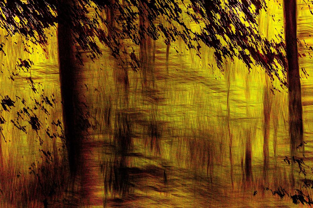#ICM #Pictorialisme #ExpositionsMultiples #MotionBlur
