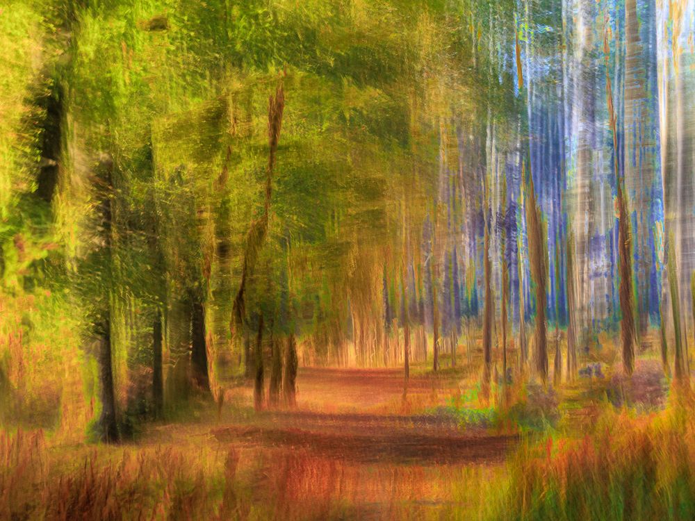 #ICM #Pictorialisme #ExpositionsMultiples #MotionBlur