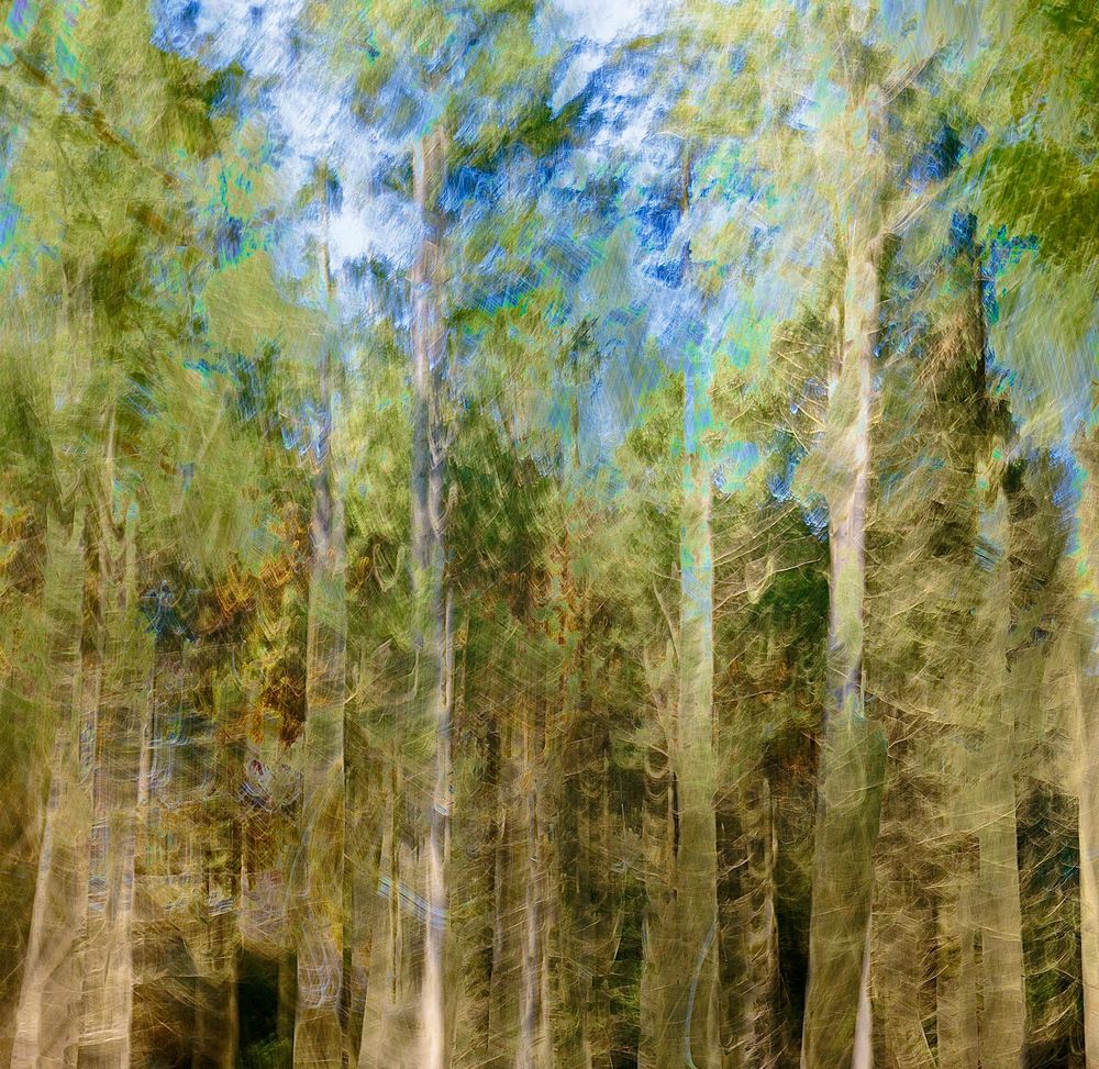 #ICM #Pictorialisme #ExpositionsMultiples #MotionBlur
