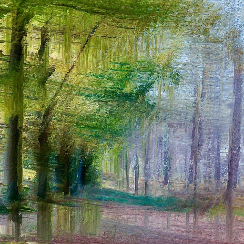 #ICM #Pictorialisme #ExpositionsMultiples #MotionBlur