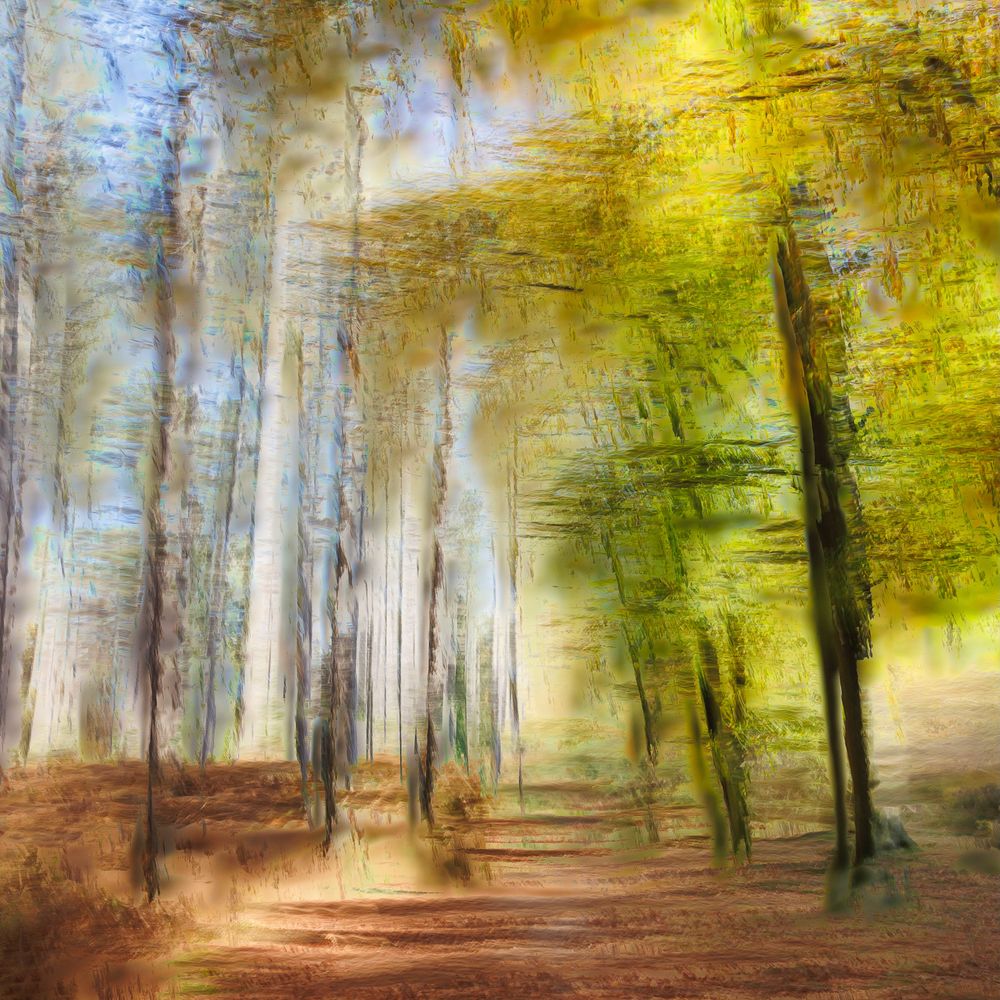 #ICM #Pictorialisme #ExpositionsMultiples #MotionBlur