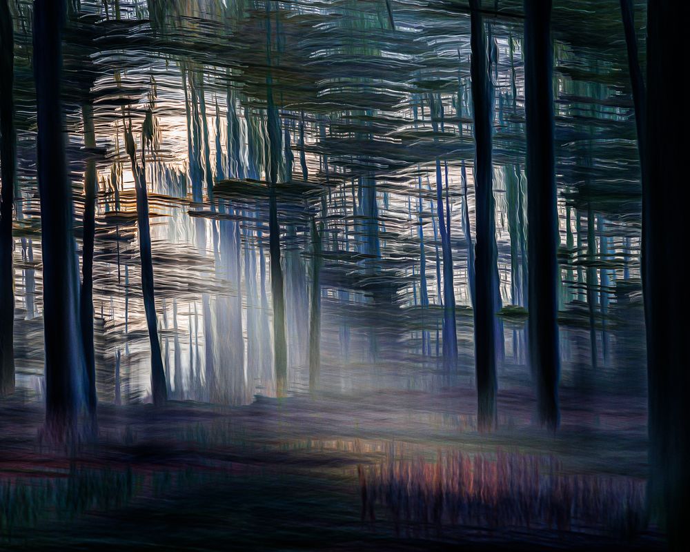 #ICM #Pictorialisme #ExpositionsMultiples #MotionBlur