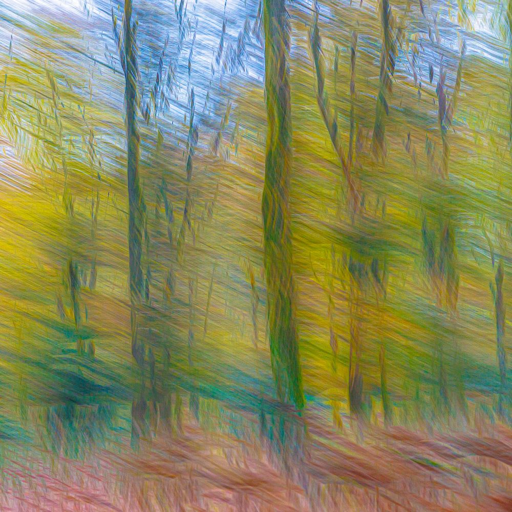 #ICM #Pictorialisme #ExpositionsMultiples #MotionBlur