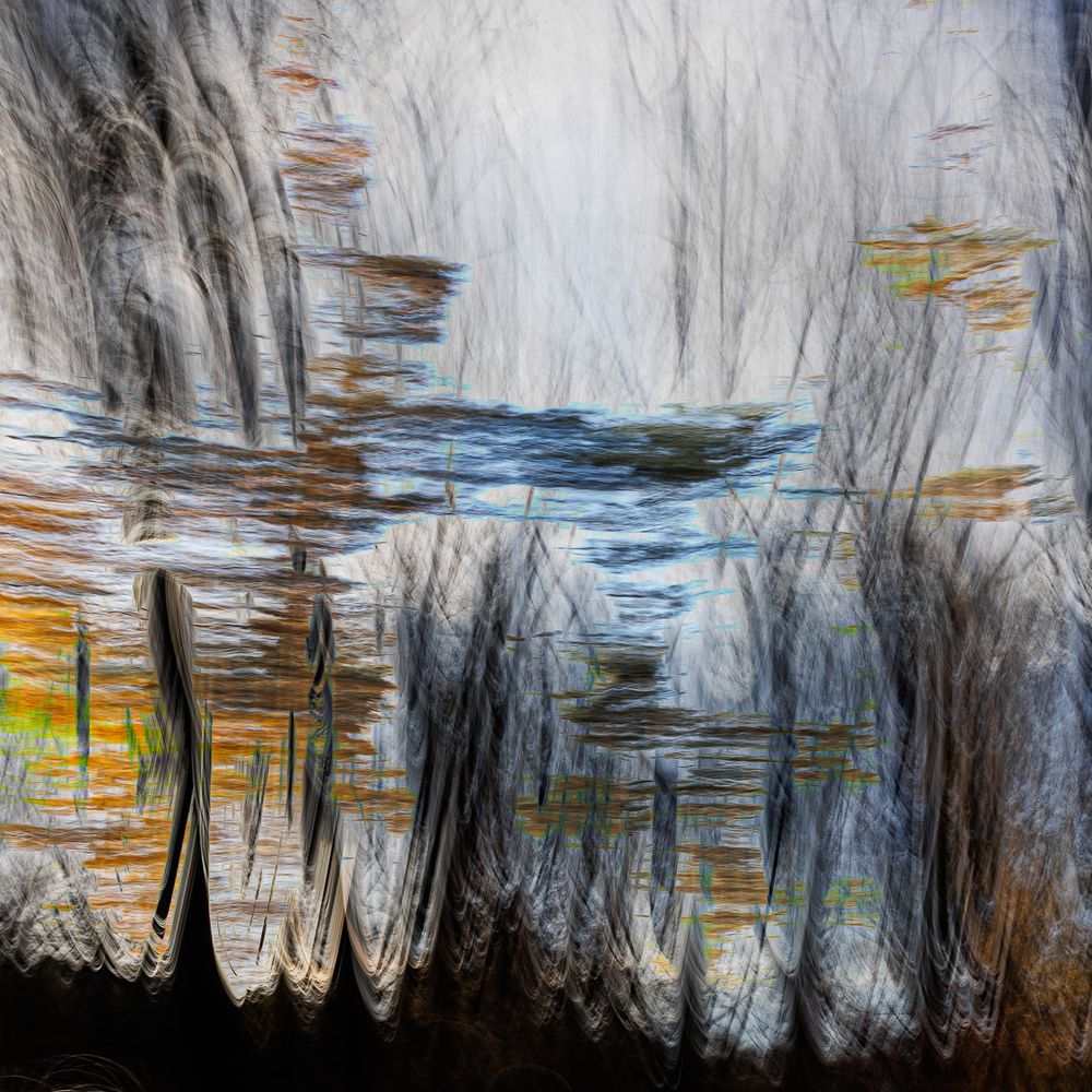 #ICM #Pictorialisme #ExpositionsMultiples #MotionBlur