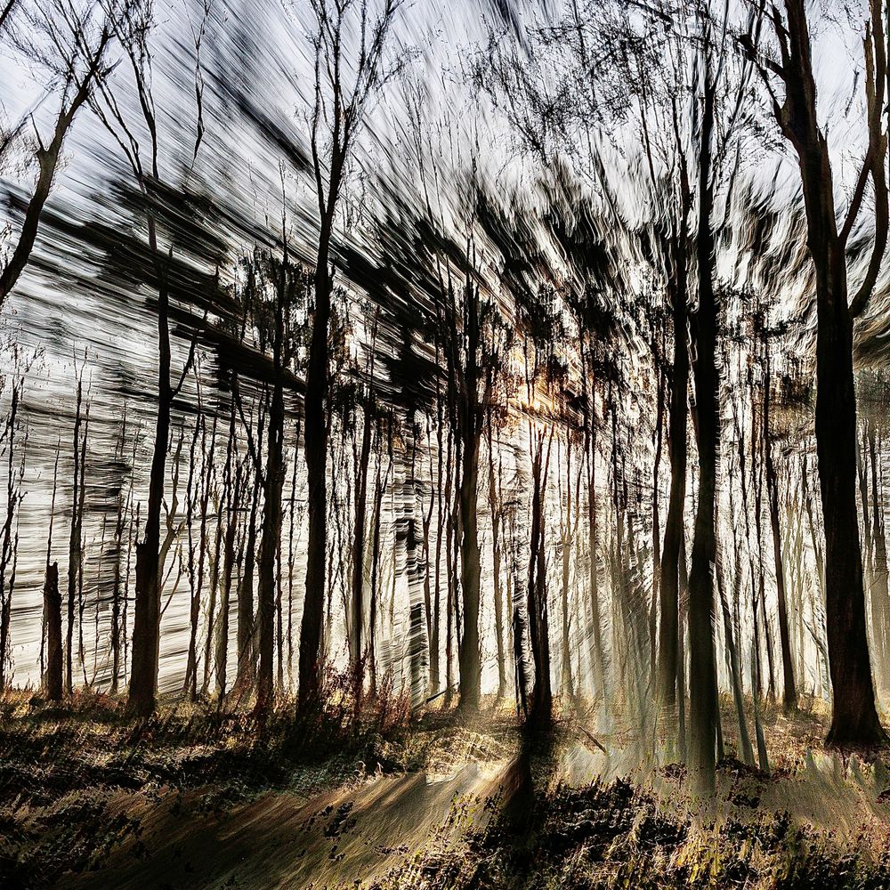 #ICM #Pictorialisme #ExpositionsMultiples #MotionBlur