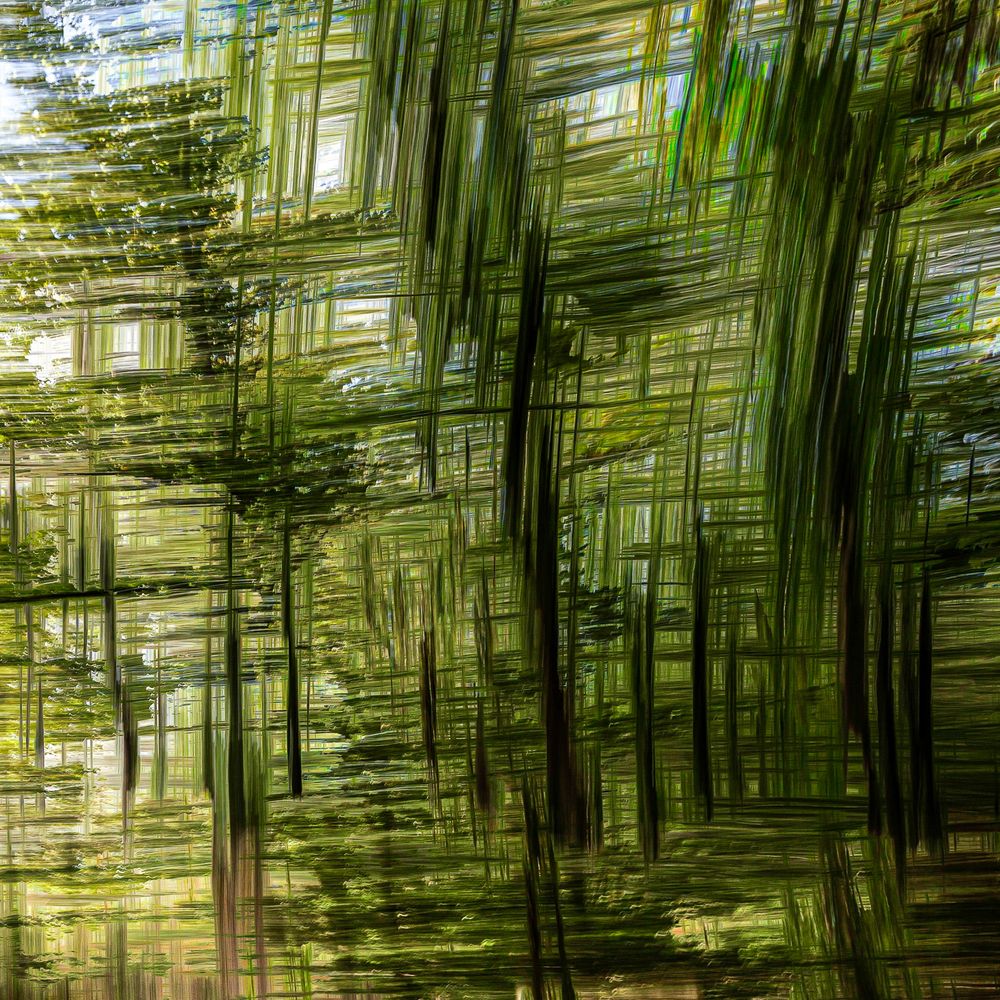 #ICM #Pictorialisme #ExpositionsMultiples #MotionBlur