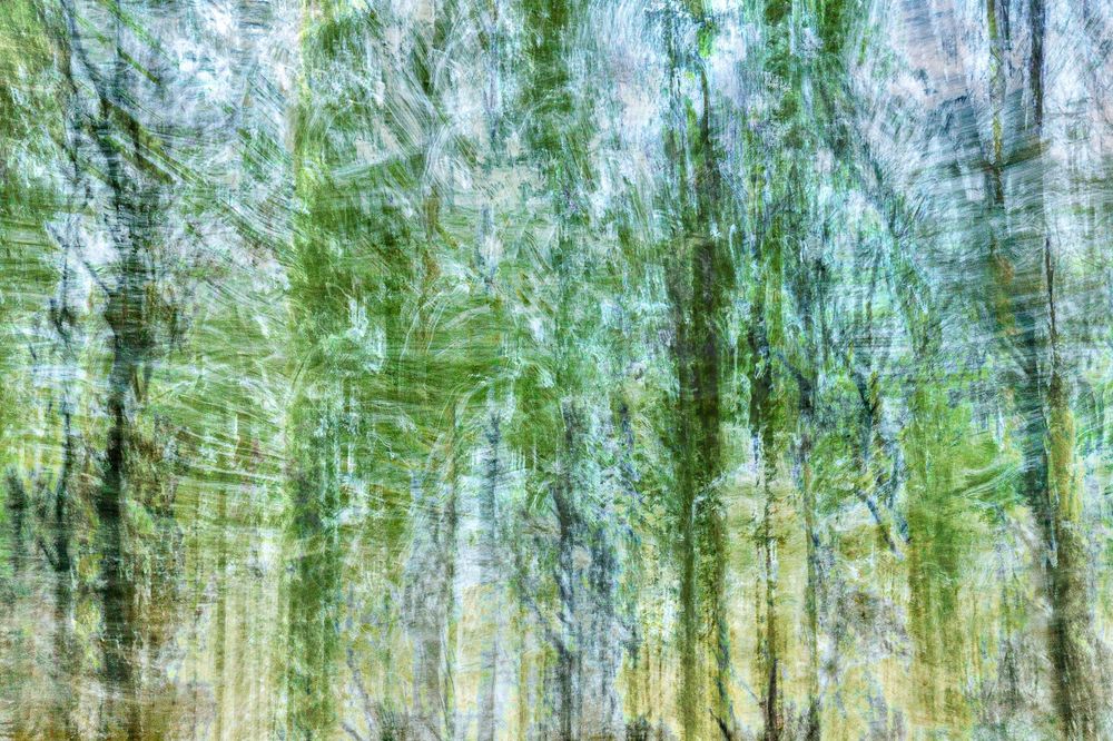 #ICM #Pictorialisme #ExpositionsMultiples #MotionBlur