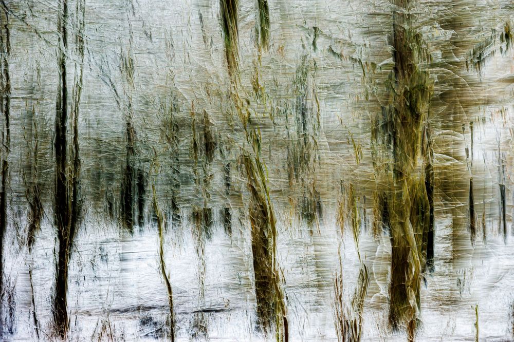 #ICM #Pictorialisme #ExpositionsMultiples #MotionBlur
