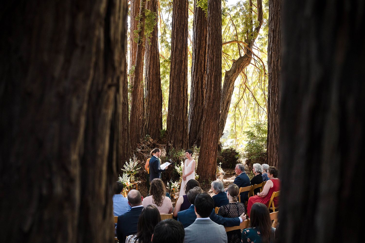 Bride and groom celebrating on a yellow vintage train car surrounded by tall redwood trees in a lush forest setting.