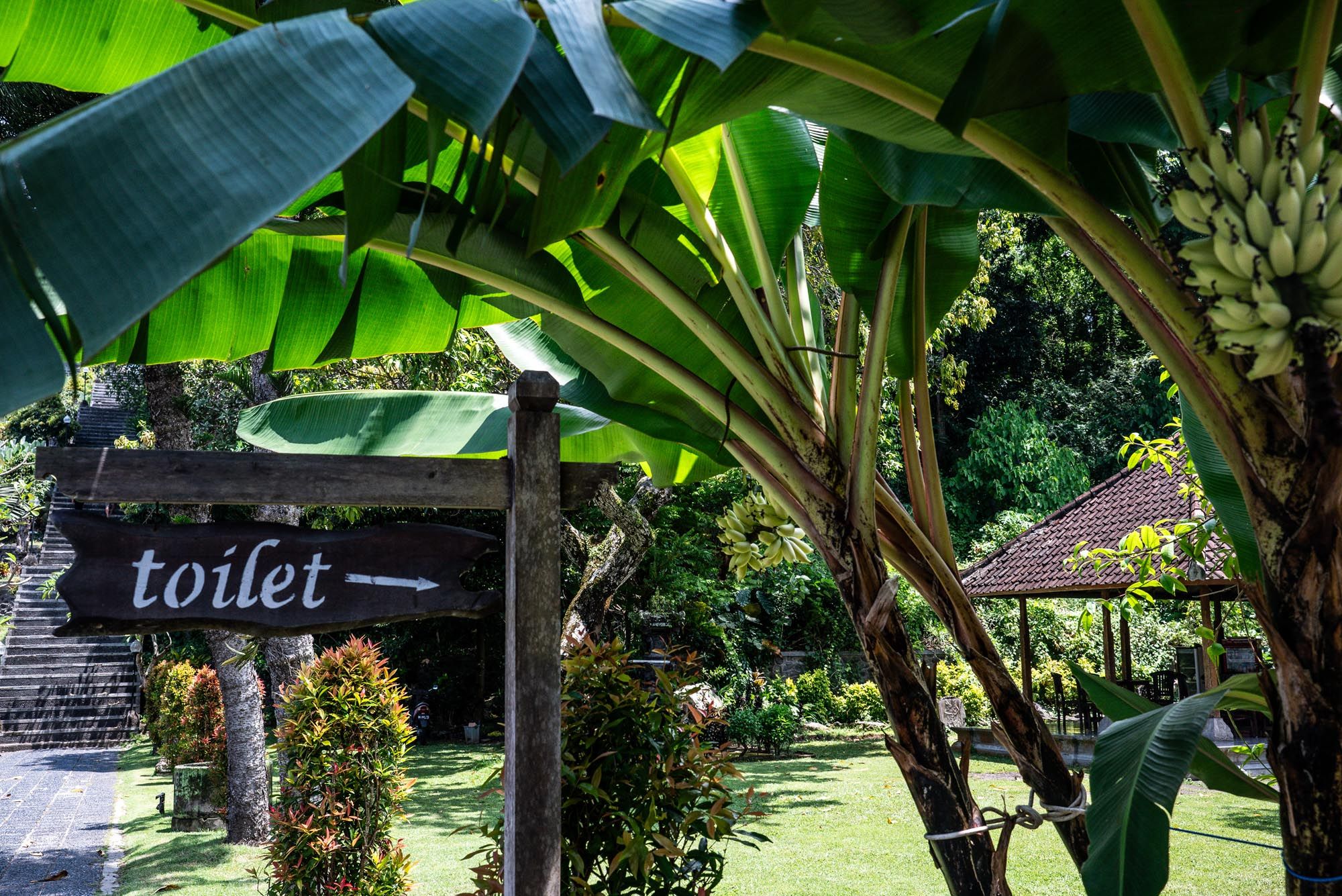 Tropical garden toilet sign surrounded by lush banana trees and greenery in a scenic outdoor setting.