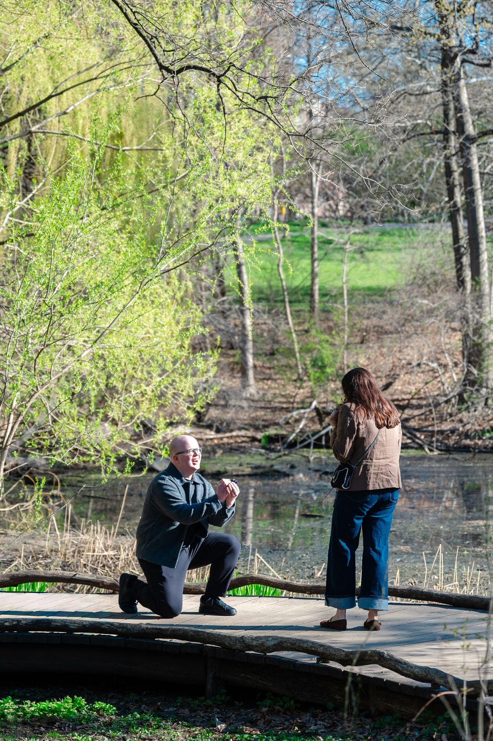 Man proposing on one knee to woman on wooden bridge in Central Park during spring.