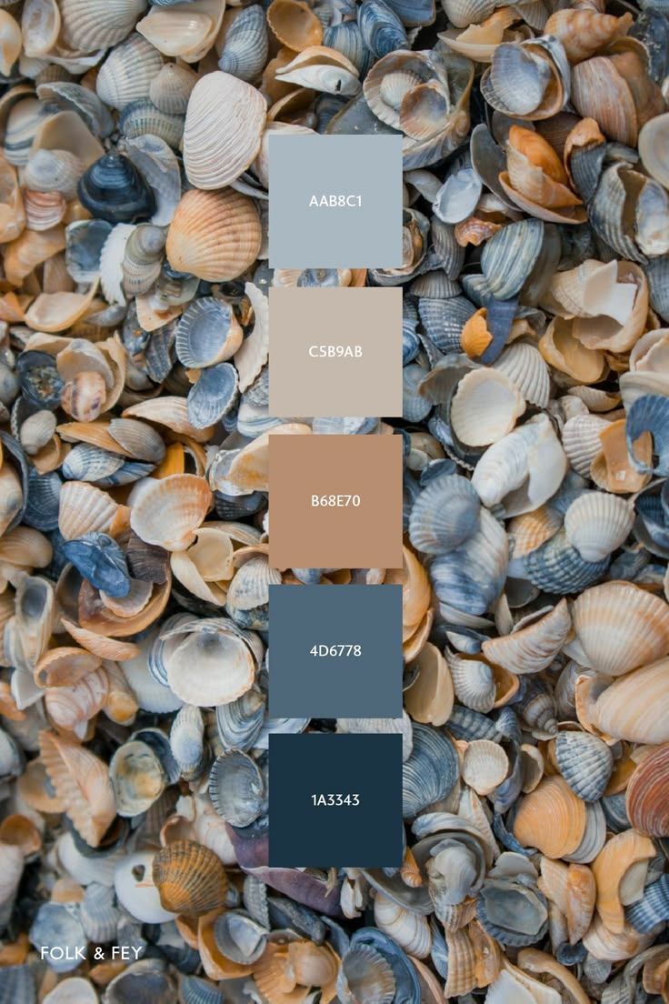 A coastal color palette of five swatches from soft grey-blue to deep navy, inspired by seashells on a beach.