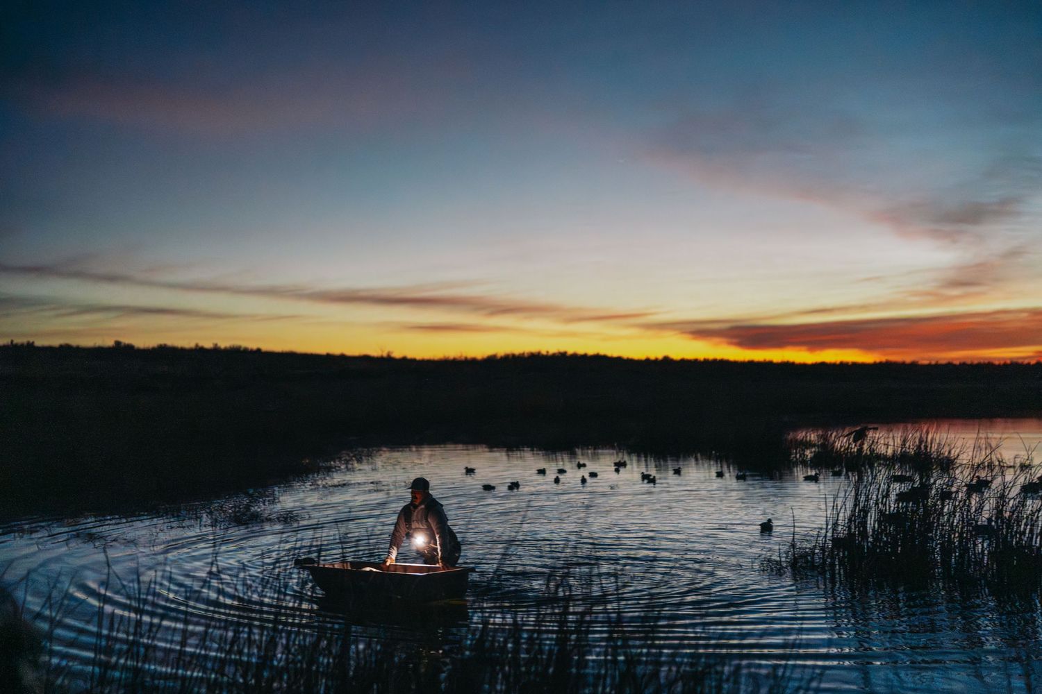 Person in a small boat with a lantern on a calm lake at sunset, with ducks swimming nearby.
