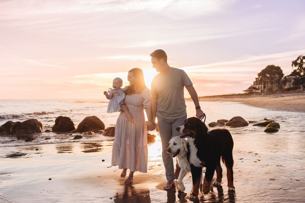 Family with baby and dogs walking on beach at golden sunset.