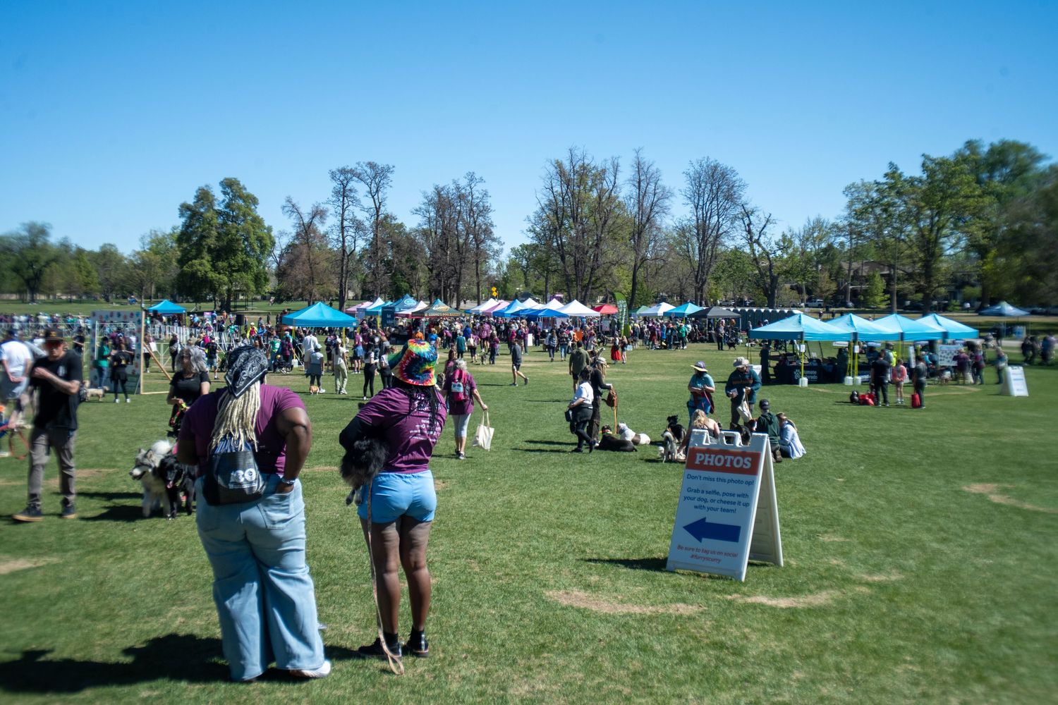 Crowds gather on a sunny green lawn at an outdoor festival with blue tents and trees in the background.