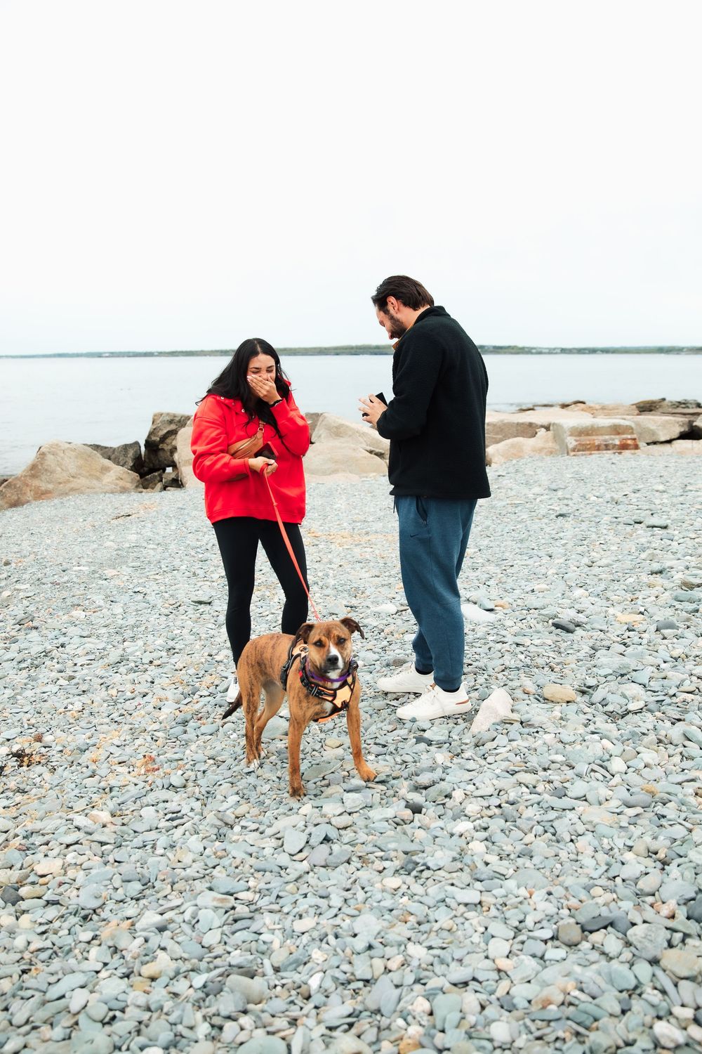 engagement, surprise proposal, Brenton point.  Bristol, Portsmouth Newport Rhode Island. engagement photography.