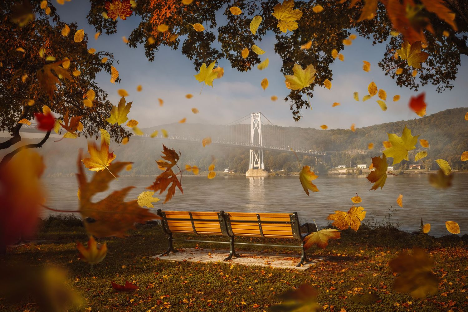 Autumn park bench overlooking a misty lake with a bridge, framed by golden falling leaves on a serene fall day.