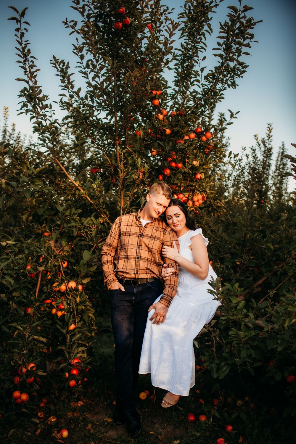 Couple embracing in a lush apple orchard, woman in white dress and man in plaid shirt, surrounded by red apples at golden hour.