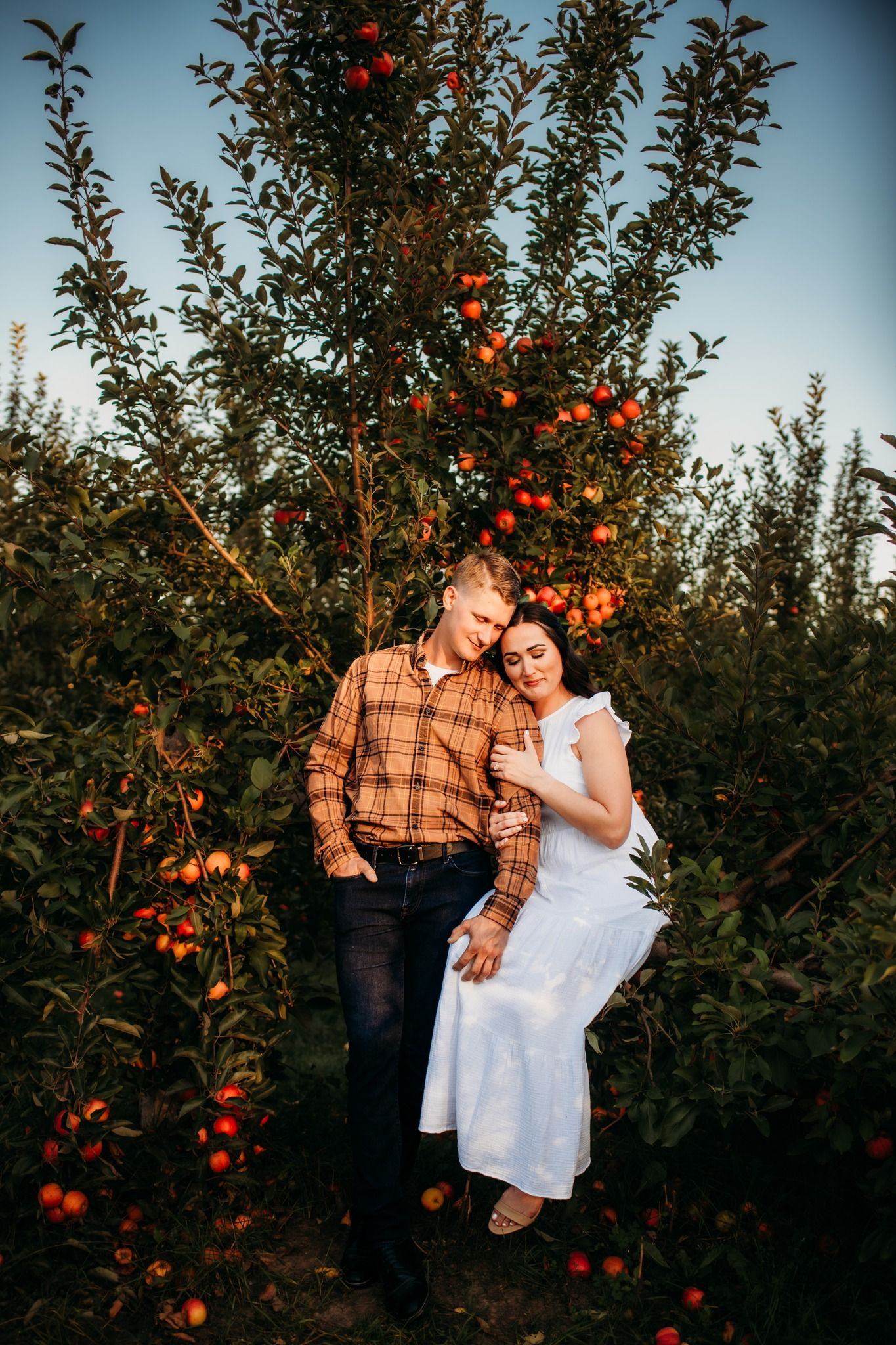 Couple embracing in a lush apple orchard, woman in white dress and man in plaid shirt, surrounded by red apples at golden hour.