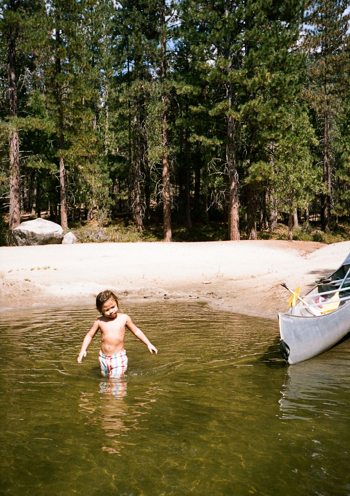 Someone splashes and plays in a lake surrounded by tall pine trees on a sunny summer day.