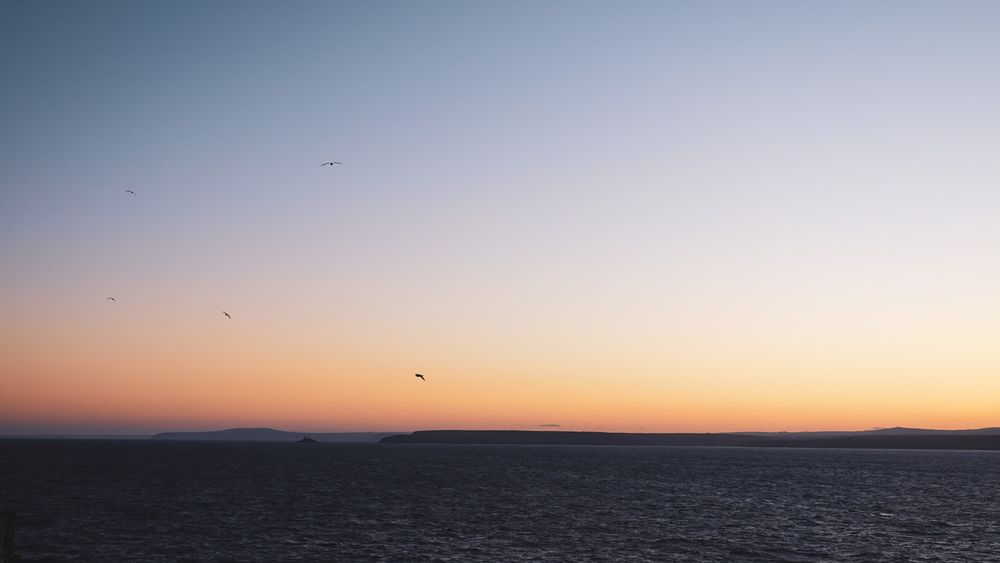 Seabirds flying over calm ocean waters during sunset with orange and purple hues in the sky.