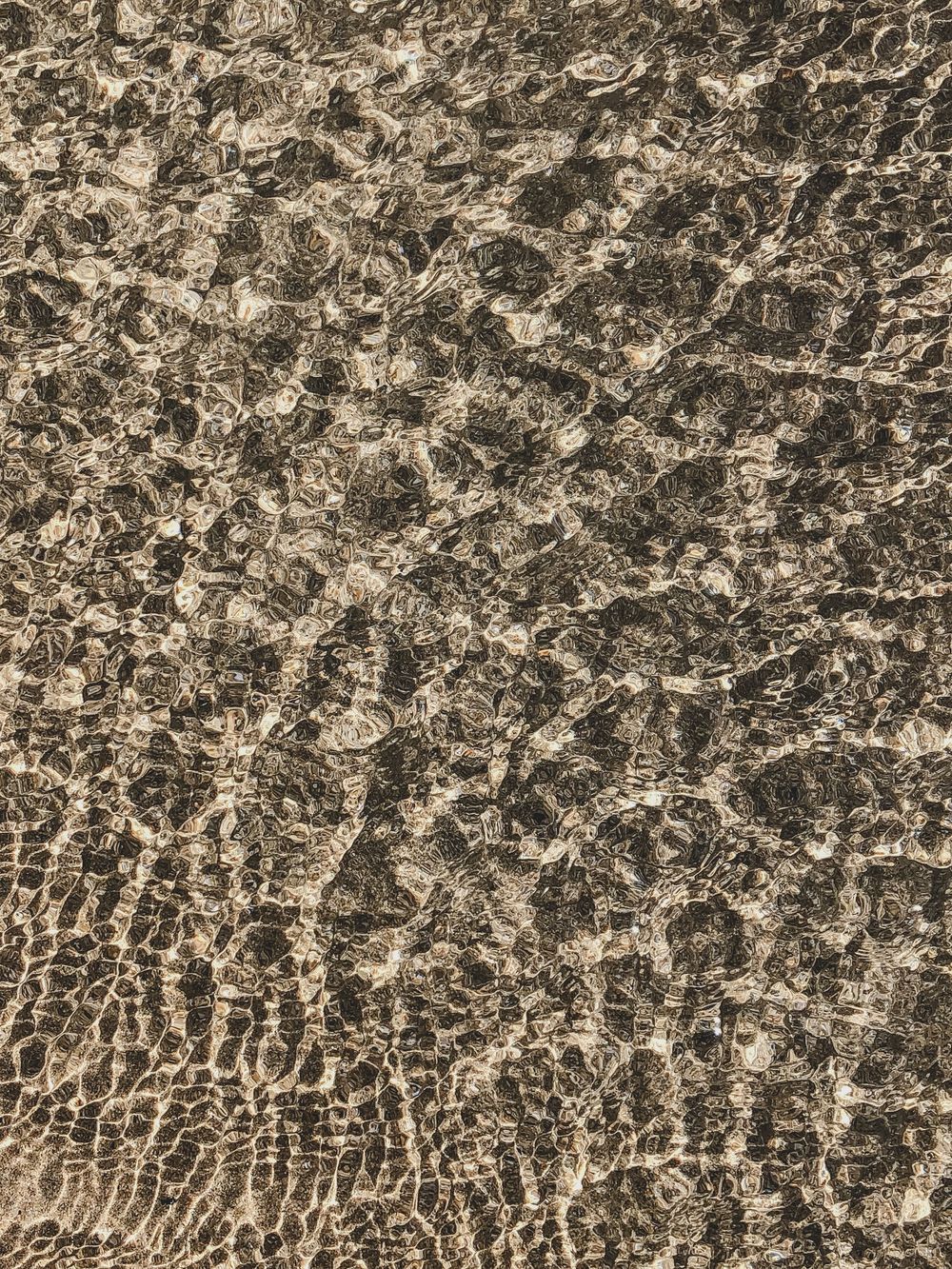 Abstract pattern of rippling water surface creating intricate light and shadow reflections in sepia tones.