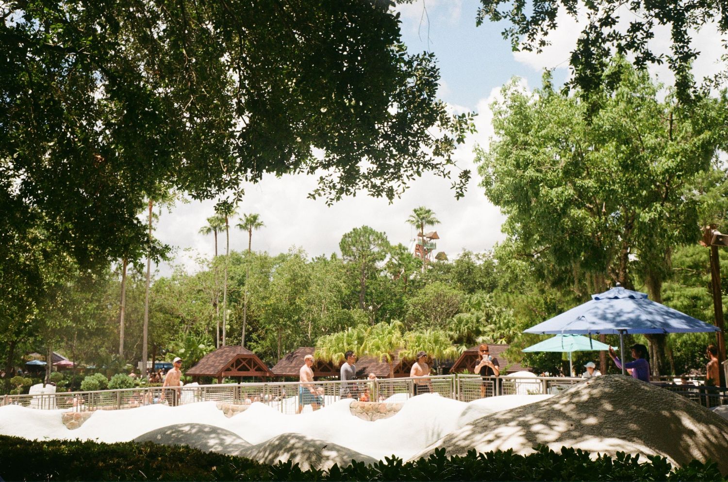Outdoor pool area surrounded by lush trees and palm trees with lounge chairs and umbrellas at a resort.