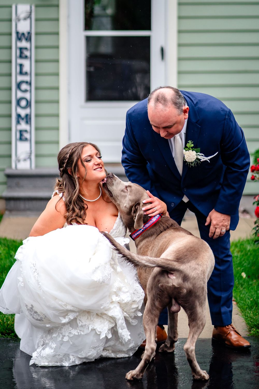 Playful wedding photos with a dog outside a green house showing joyful interactions.