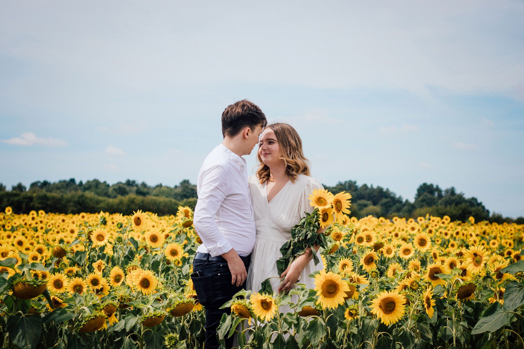 A romantic moment between a couple sharing an intimate embrace in a vibrant field of blooming sunflowers.