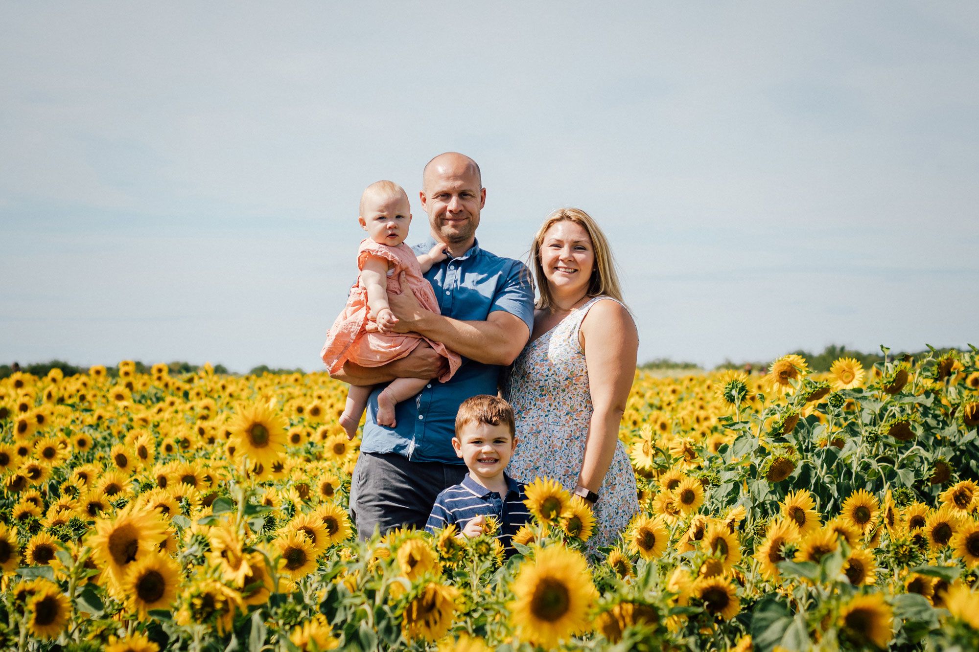 A family stands together in a vibrant yellow sunflower field on a bright summer day.