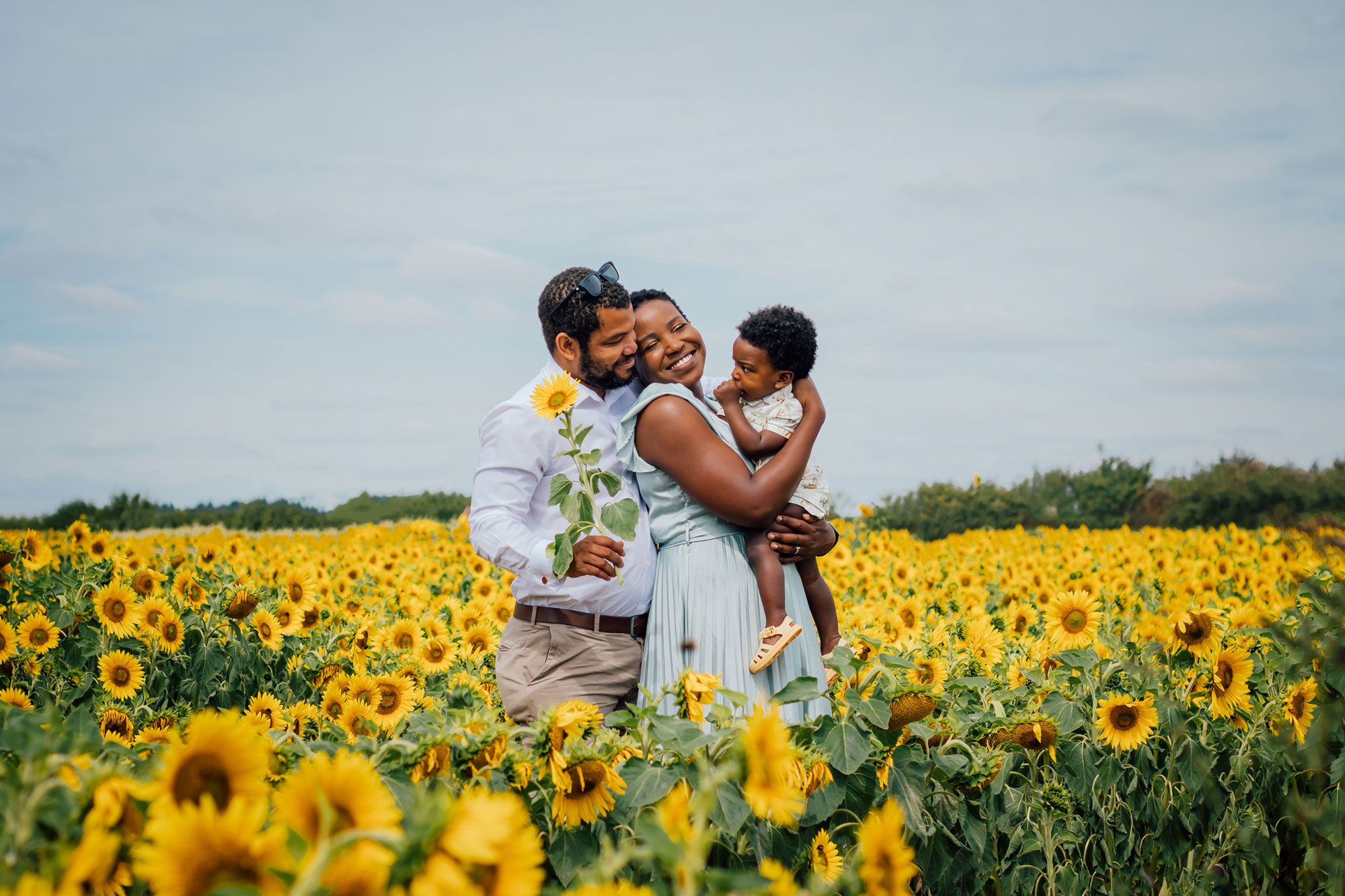 Joyful figures embrace and share affectionate moments in a vibrant blooming sunflower field on a bright summer day.