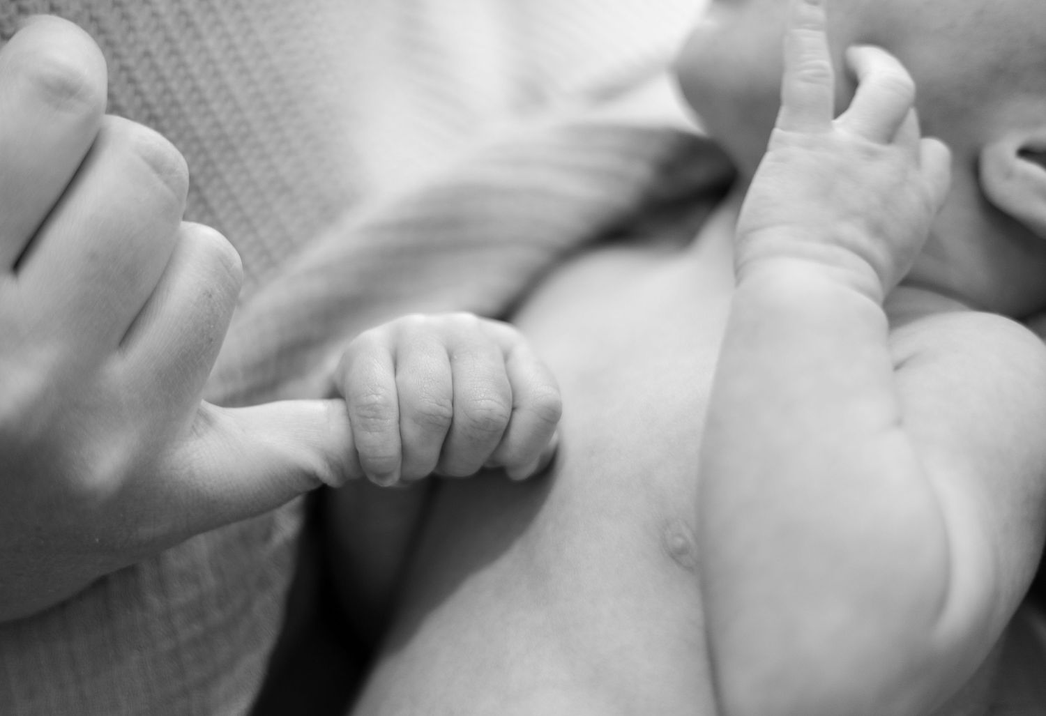 Close-up black and white image of a baby's tiny hand and feet.