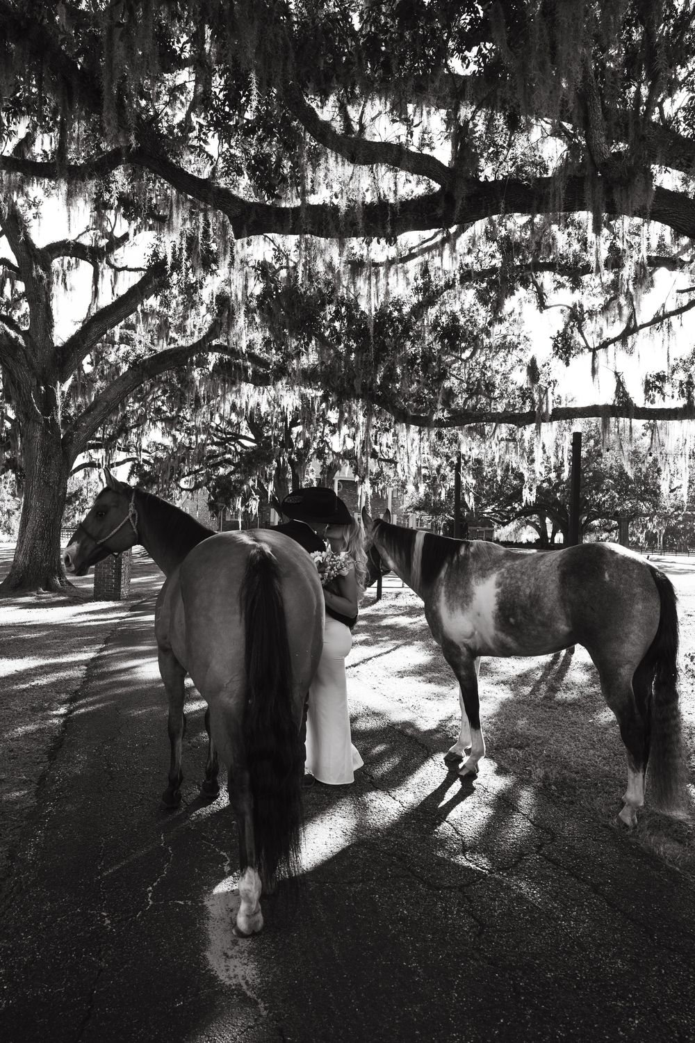 Black and white photos of a horse under Spanish moss draped oak trees creating dramatic shadows.