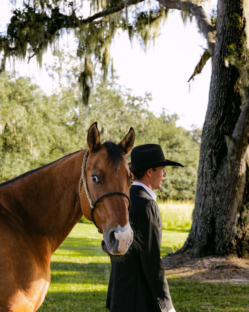 A brown horse stands next to a figure in black under Spanish moss-draped trees in a sunlit outdoor setting.