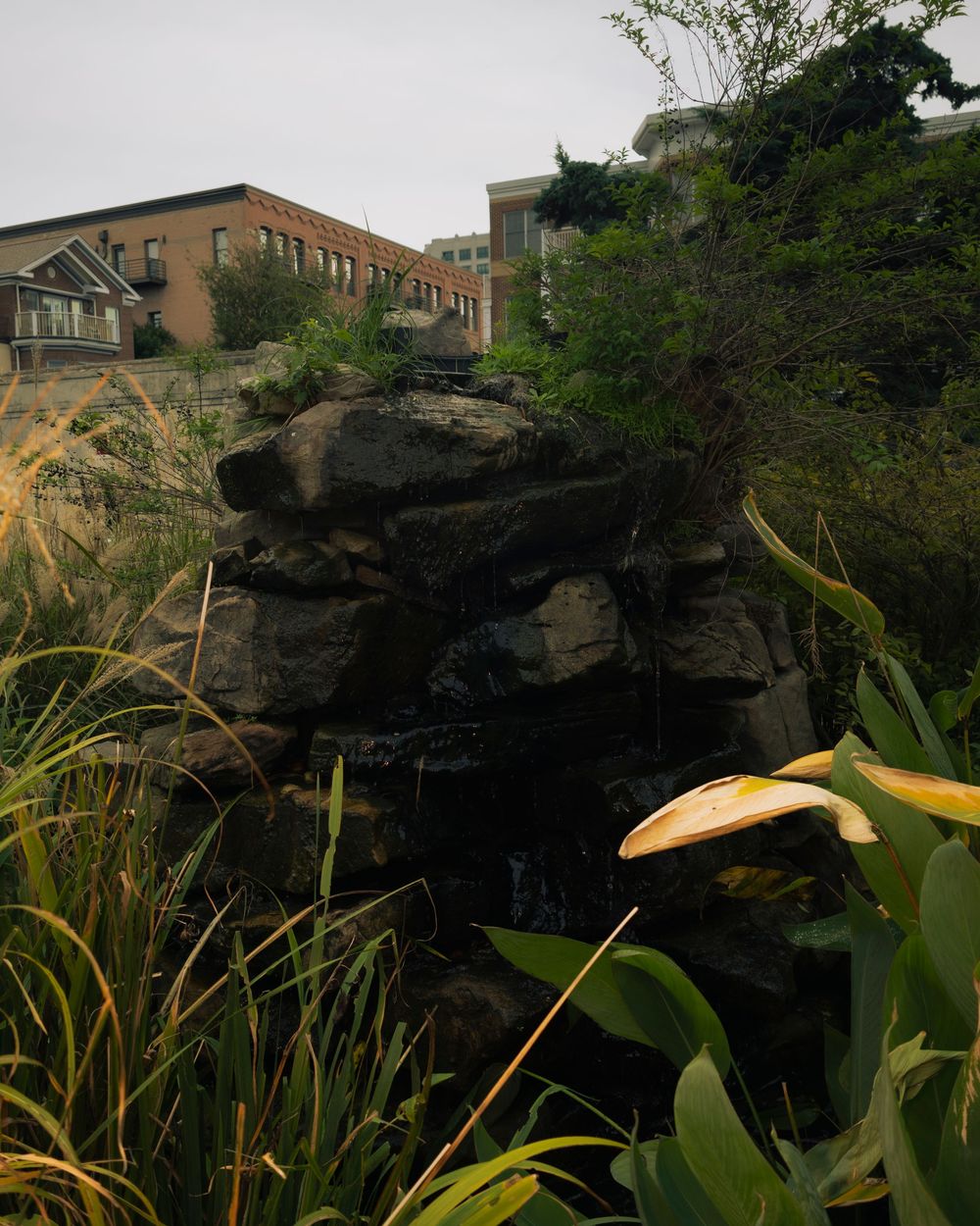 Dark stone cliffs rise against a cloudy sky with tropical plants in the foreground.