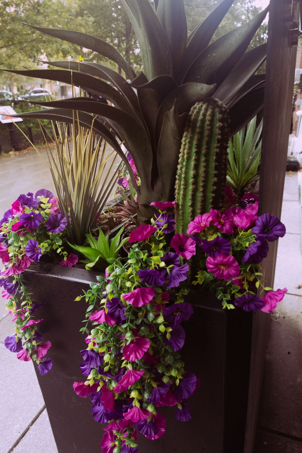 Purple petunias cascade from a dark planter with tropical foliage accents.