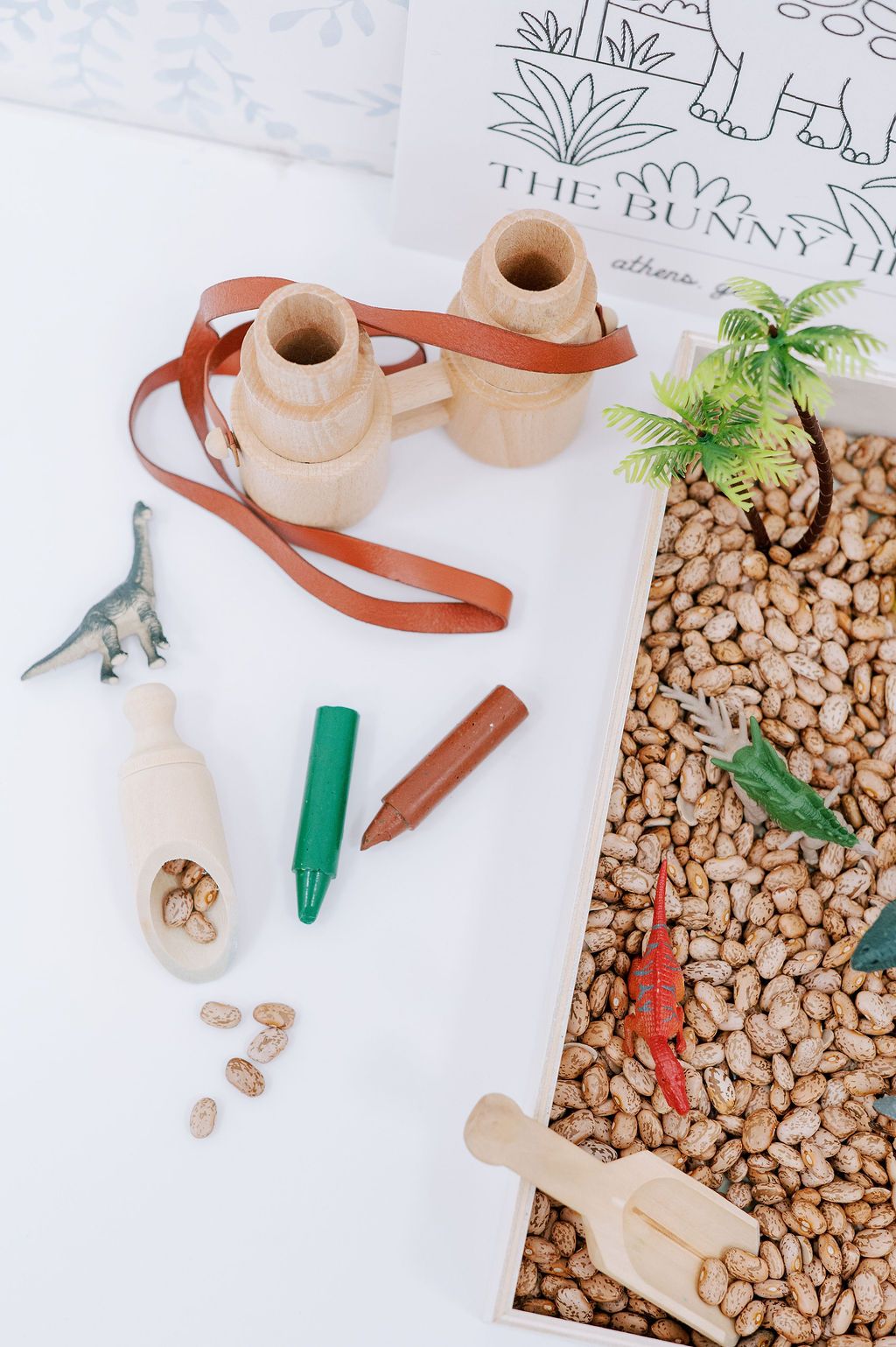 Minimalist flat lay of a dinosaur excavation sensory activity