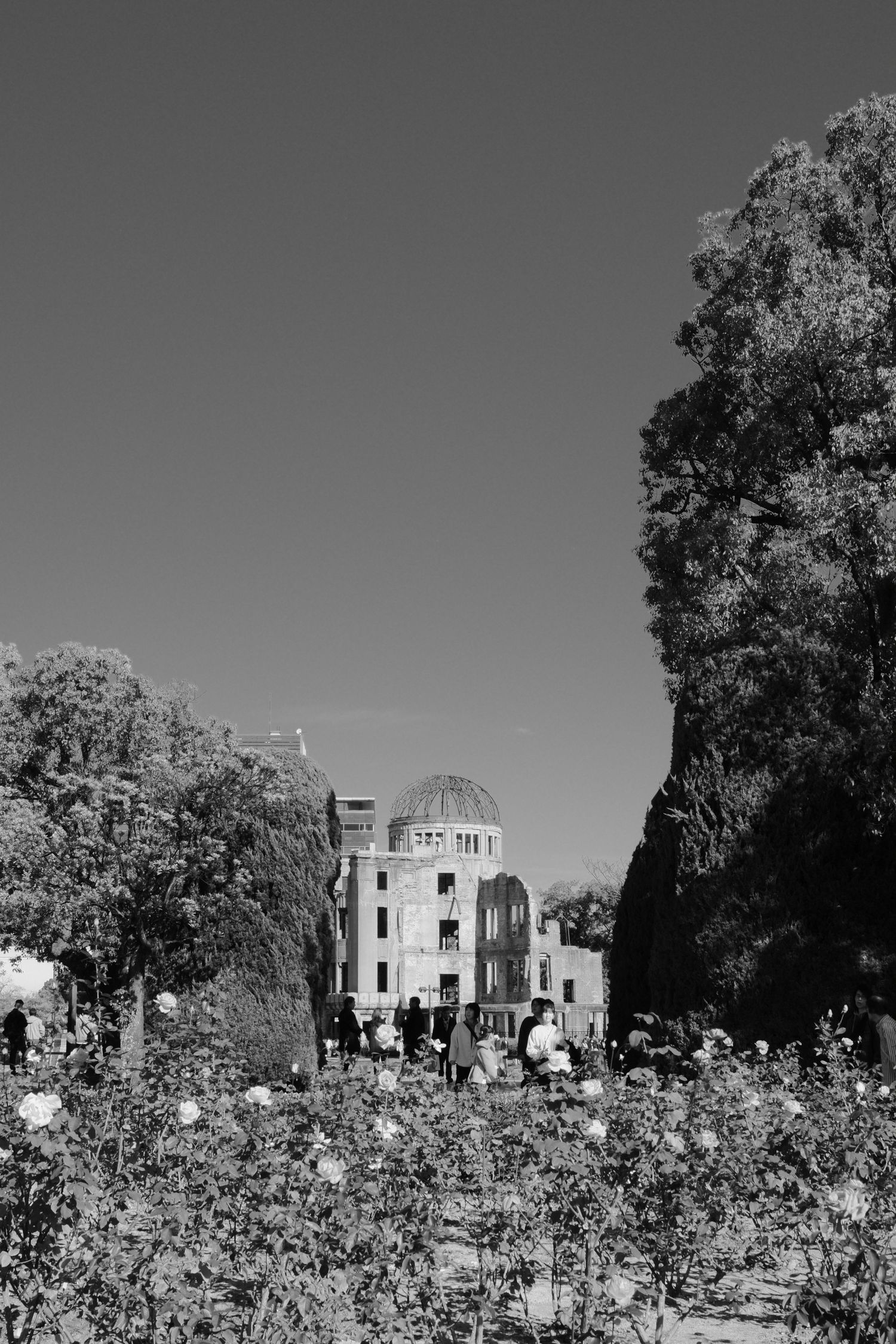 Black and white photograph of the Hiroshima Peace Memorial and surrounding trees against a clear sky.