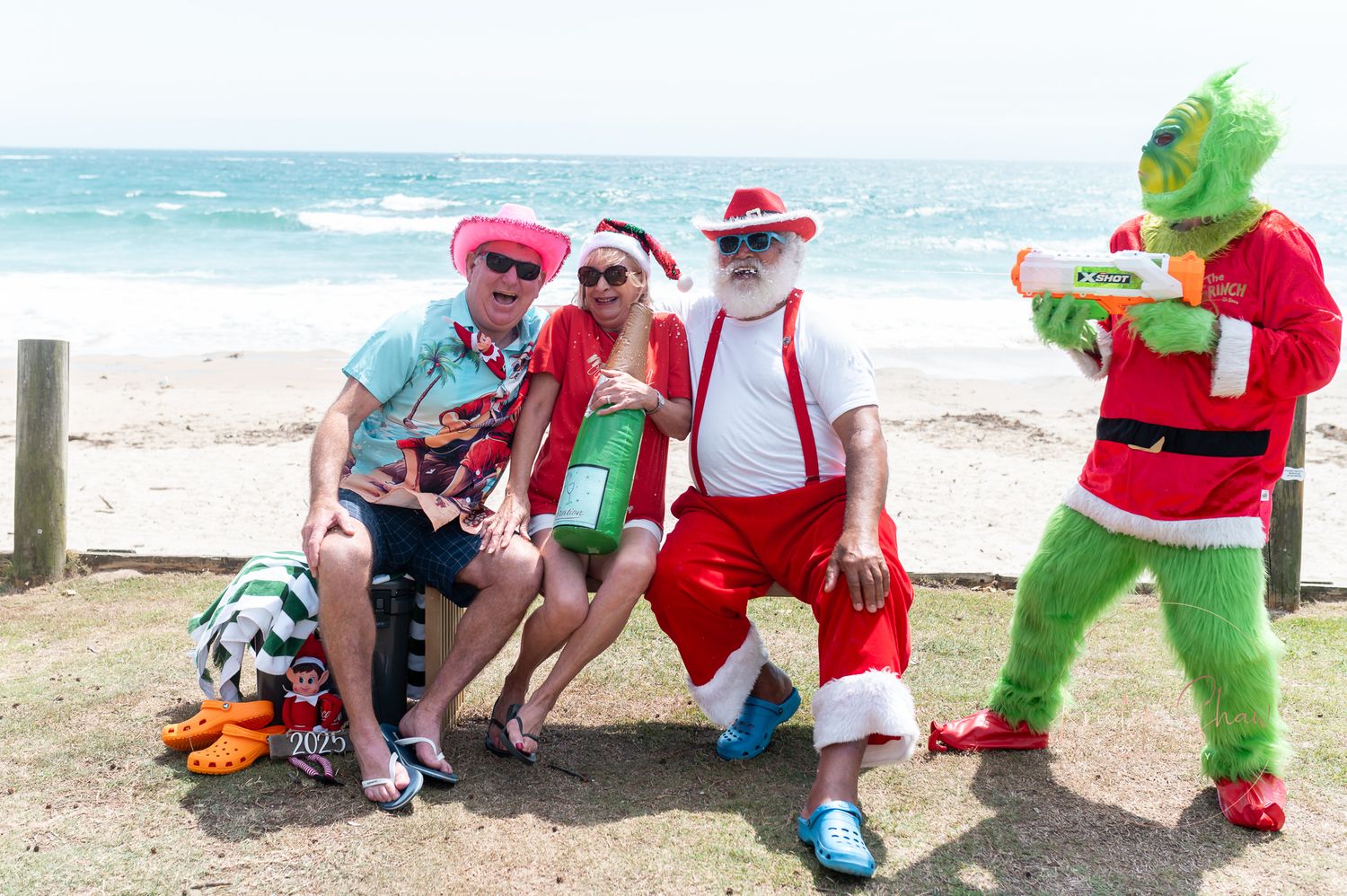 Colorful holiday characters pose together on grassy area with beach and ocean waves in background.