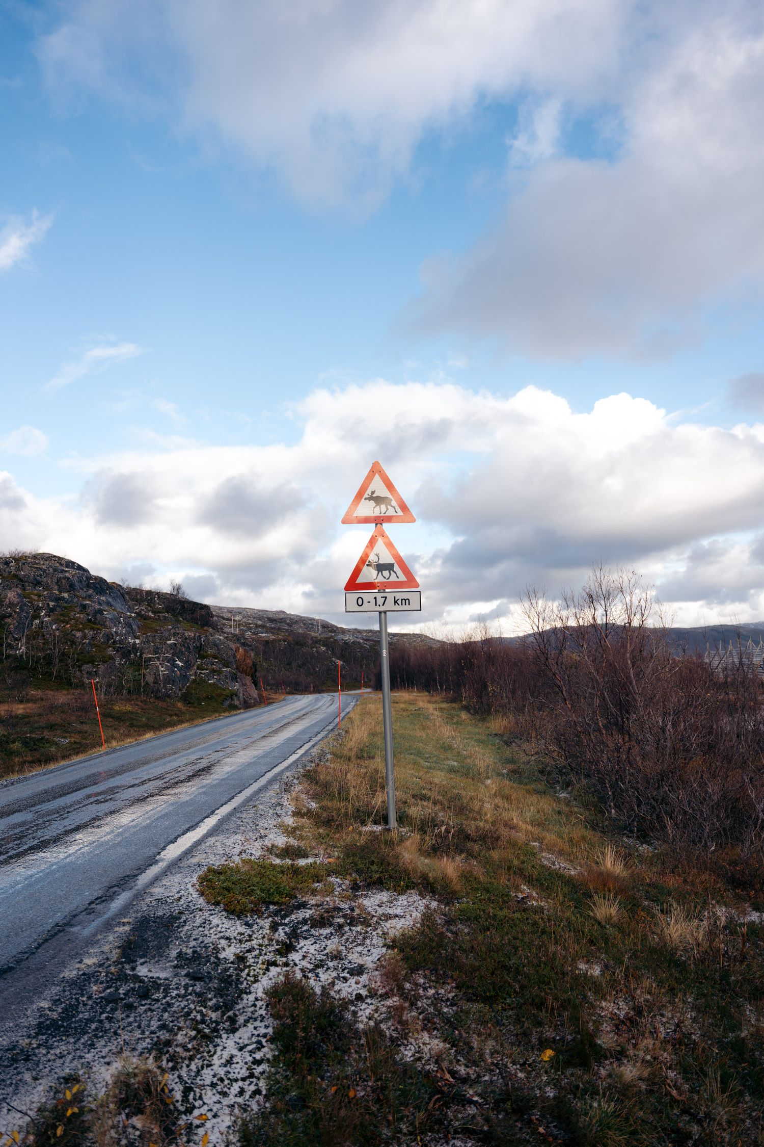 route de kvaloya avec des panneaux indiquants de faire attention aux reines et élans