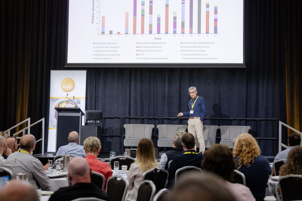 Business conference attendees listen to a presentation in a darkened auditorium with data charts displayed on screens.