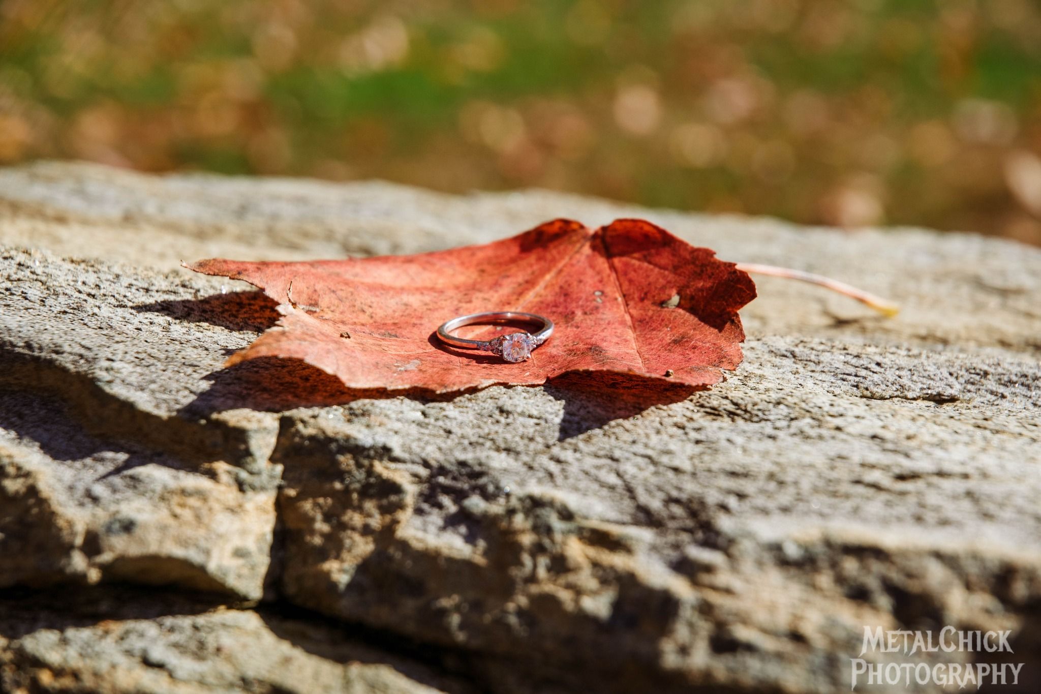 Enagement photo by Northern Exposure featuring a close-up of the engagement ring on a maple leaf.
