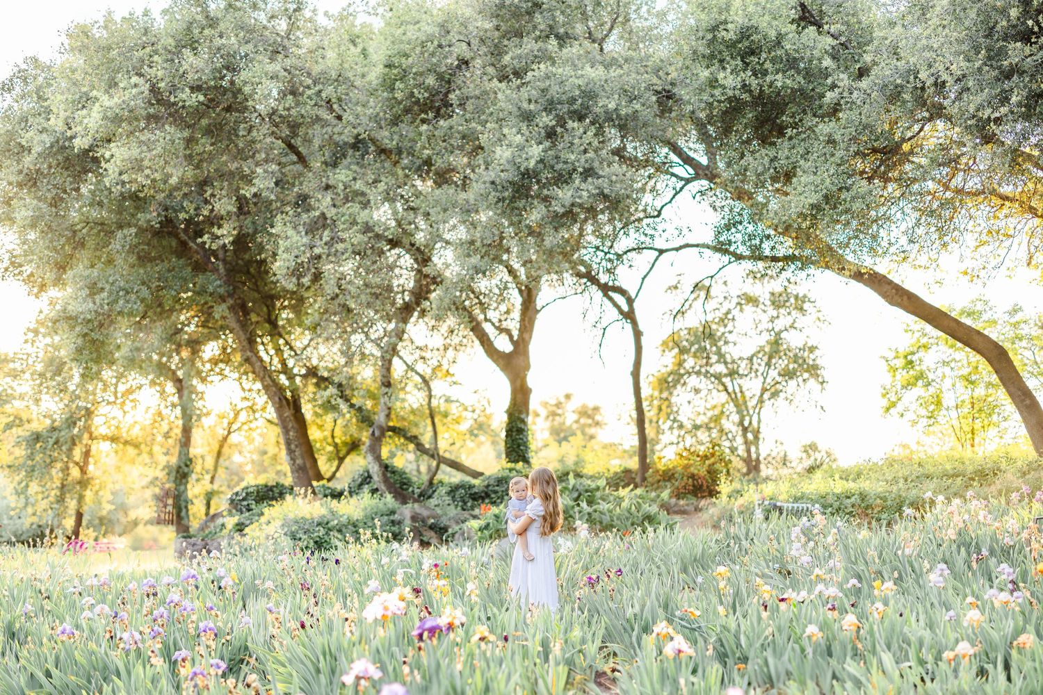 Sunlit outdoor garden scene with lush greenery and trees creating a natural backdrop.